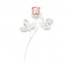 Rosa argentata con petali smaltati rosa altezza 16 cm
